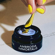 Masque Contour des Yeux Ambrosia Immortalis Lilfox
