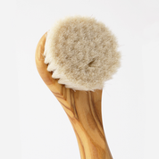 Brosse Visage Djusie