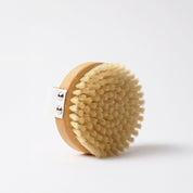 Brosse Corps Djusie