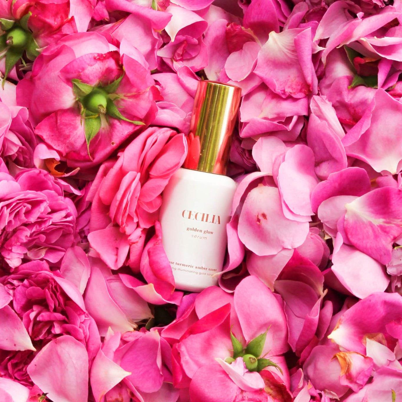 Sérum Visage SPF40 Golden Glow Cecilia Holistic Beauty