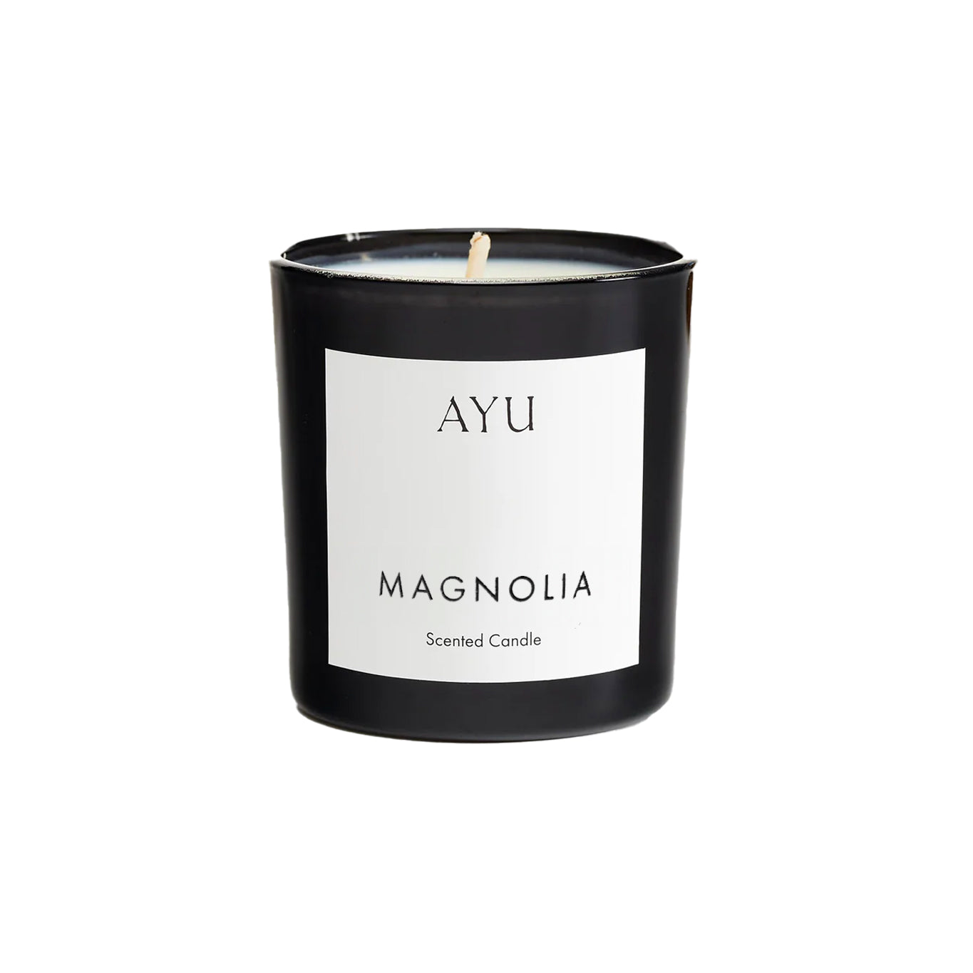 Magnolia.jpg