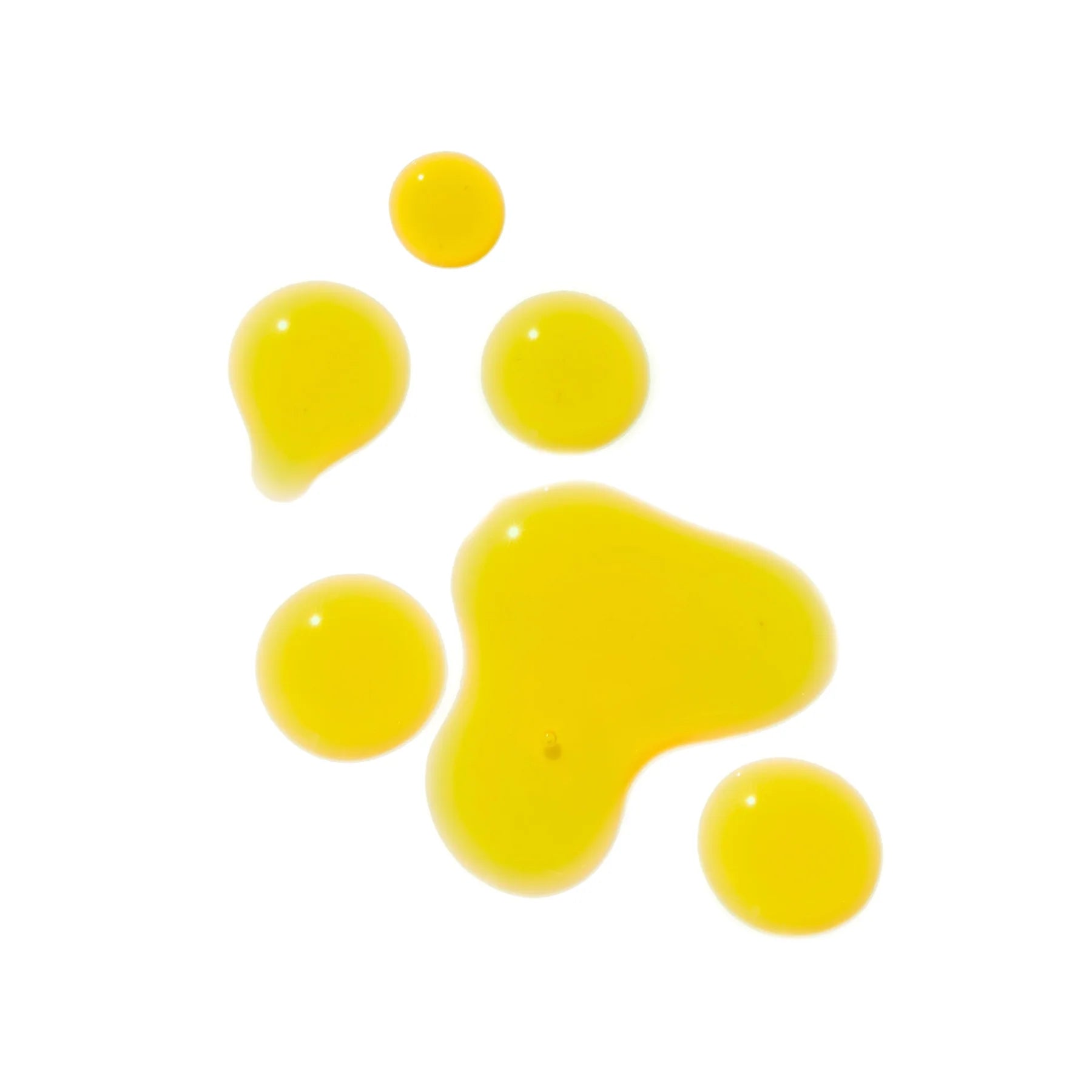 Regenerate2.webp
