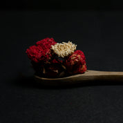 Hekate Botanical Tea the ritual